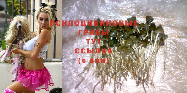 ГАЛЛЮЦИНОГЕННЫЕ ГРИБЫ Михайловск