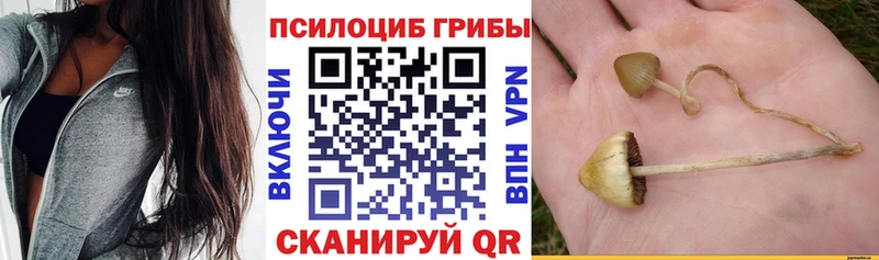 Галлюциногенные грибы MAGIC MUSHROOMS  МЕГА онион  Невельск 