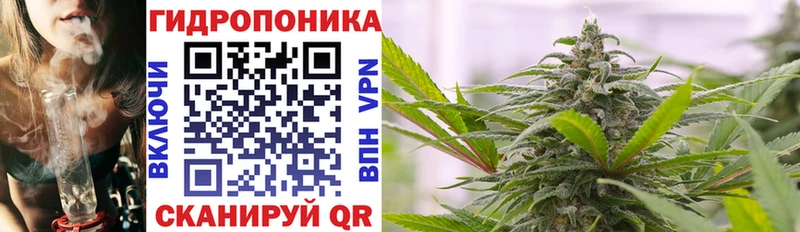 Шишки марихуана ГИДРОПОН  где найти наркотики  Невельск 
